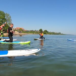Stand up paddle (SUP) kursus IPP2 - Begynder